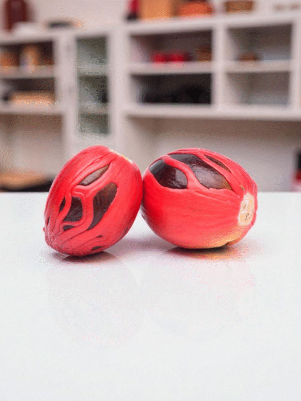 Idukki Nutmeg Mace Flower/1st Grade/Jathipathri