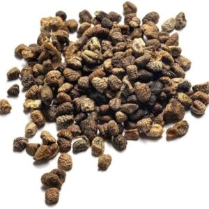 Cardamom Seed