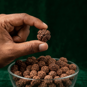 Prakrithi Rudraksha
